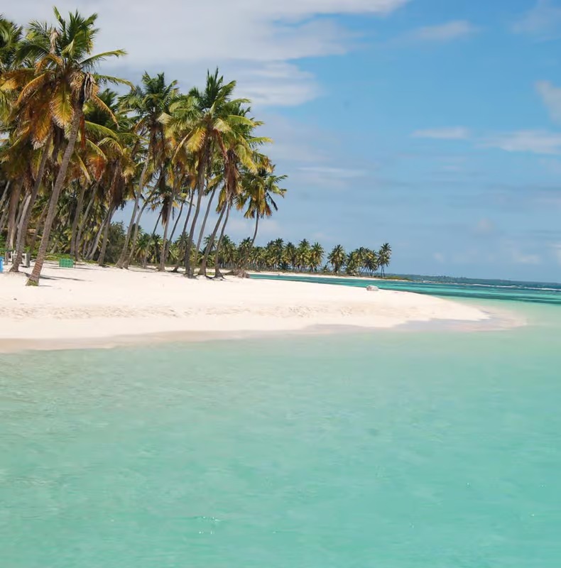BULL HEAD EXCLUSIVE: Isla Saona VIP