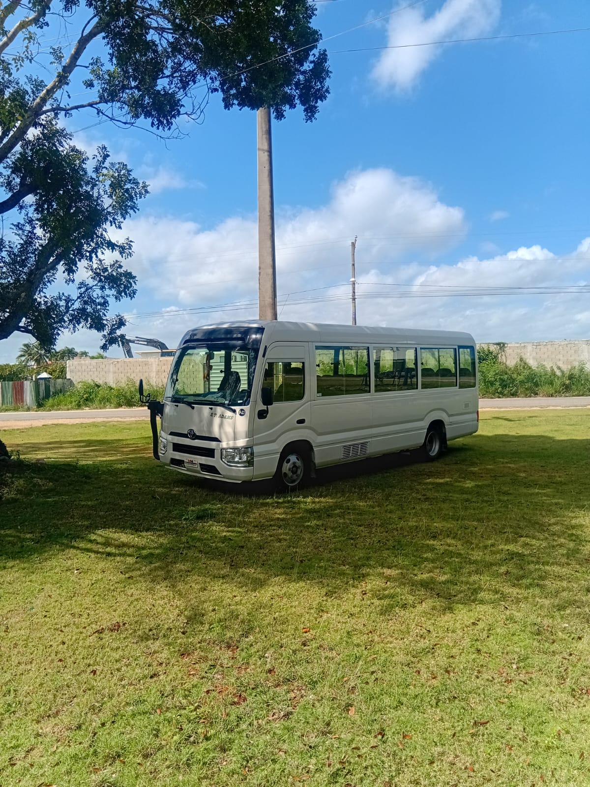 Bull Head - Excursiones en República Dominicana
